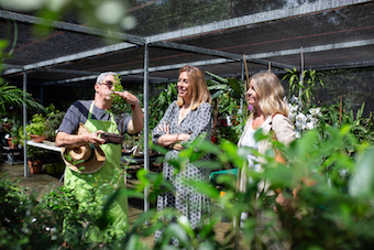 La Guardería del Aula de Educación Ambiental de Pozuelo cuida de las plantas de sus vecinos en verano