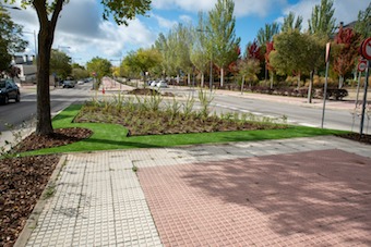 Boadilla mejora sus medianas e isletas