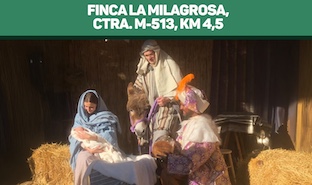 Las ovejas de La Milagrosa regresan por Navidad