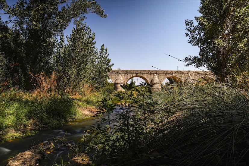 Restauración de las cuencas fluviales de Las Rozas