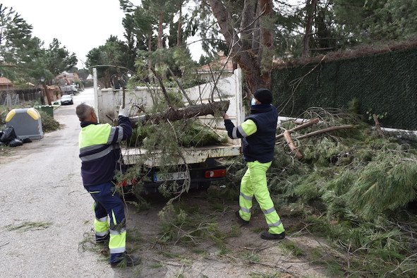 Un nuevo servicio trabajará mañana y tarde para retirar los restos de Filomena en Villaviciosa