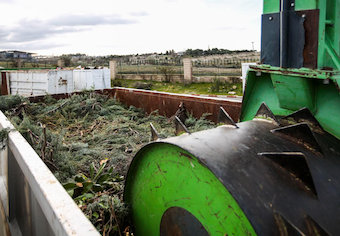 El Ayuntamiento de Las Rozas recoge los muebles antiguos, entrega sal y limpia las pintadas de las fachadas de las casas
