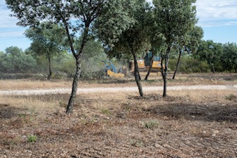 Limpieza del monte de Boadilla para el verano