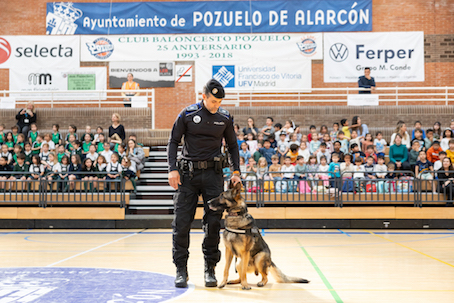 Las unidades caninas de la Policía Municipal muestran su trabajo a los escolares de Pozuelo