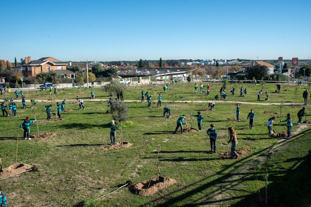 Alumnos del colegio Mirabal plantan 200 pinos en la calle Monte Amor