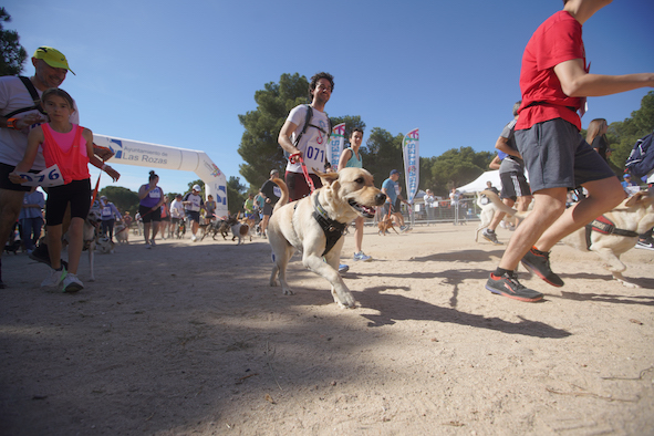 Este domingo se celebra la II CaniCross en Las Rozas