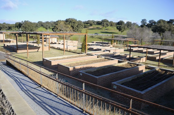 Boadilla sortea 44 huertos urbanos ecológicos