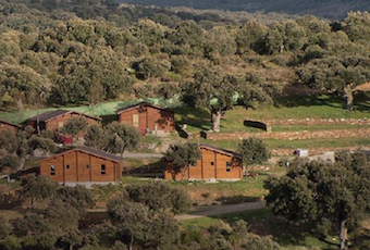 Nuevo Campamento Deportivo en la Naturaleza en Majadahonda