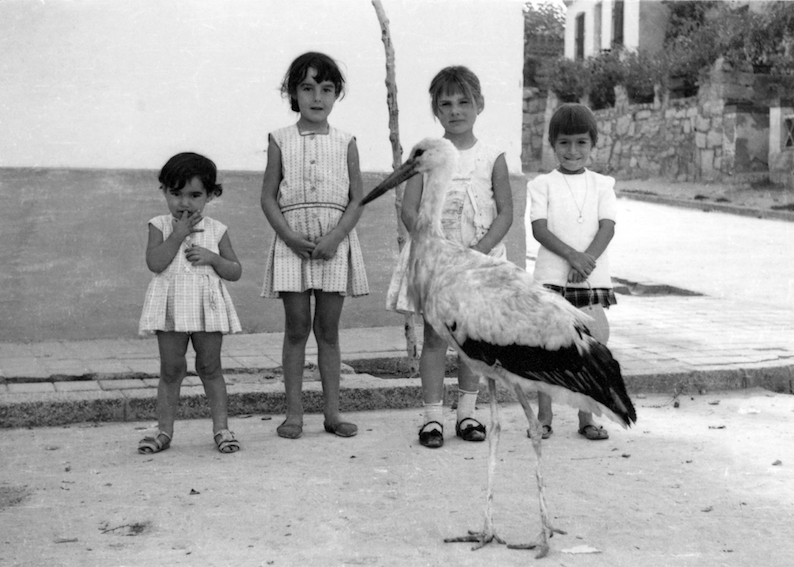 Las Rozas Recuerda su historia a través del testimonio de sus vecinos
