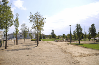 Comienzan las obras de remodelación del parque Miguel Ángel Blanco de Boadilla
