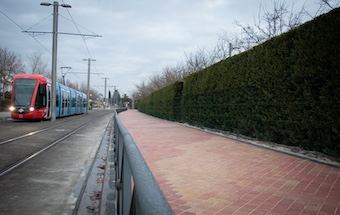 Mejora del acceso al Recinto Ferial de Boadilla