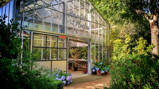 Hospital y guardería de plantas en Pozuelo