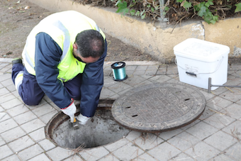 Campaña de control de roedores e insectos en Boadilla