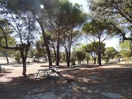 Rutas gratuitas en el Aula Medioambiental