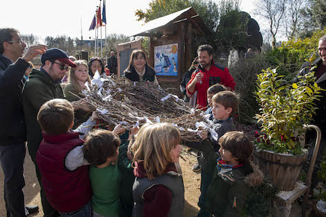 Pequeños voluntarios construyen una nueva casa para las cigüeñas de Pozuelo