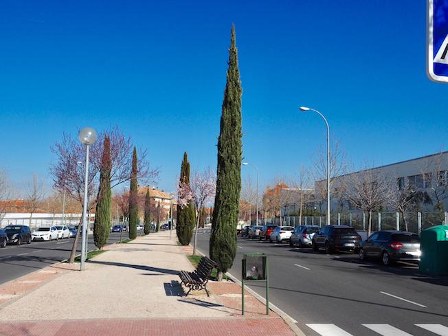 Nuevo alumbrado en la avenida Isabel de Farnesio
